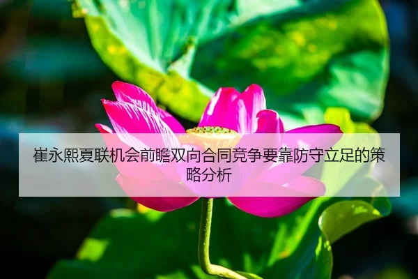 崔永熙夏联机会前瞻双向合同竞争要靠防守立足的策略分析