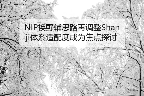 NIP换野辅思路再调整Shanji体系适配度成为焦点探讨