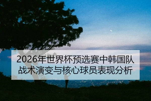 nian-shi-jie-bei-yu-xuan-sai-zhong-han-guo-dui-zhan-shu-yan-bian-yu-he-xin-qiu-yuan-biao-xian-fen-xi-2-570.jpg