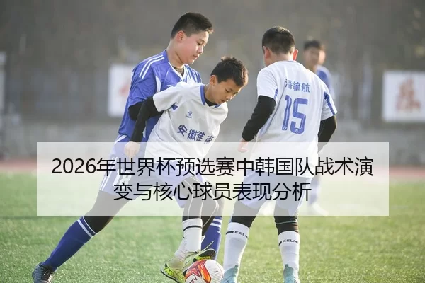 2026年世界杯预选赛中韩国队战术演变与核心球员表现分析