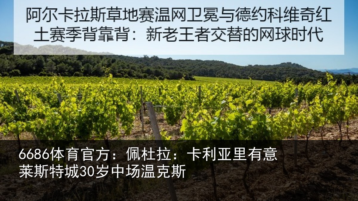 6686体育官方：佩杜拉：卡利相关情况30岁中场温克斯