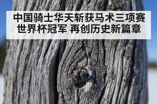 中国骑士华天斩获马术三项赛世界杯冠军 再创历史新篇章